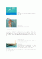 수영영법-자유형, 배영, 평영, 접영 11페이지