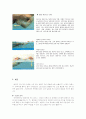 수영영법-자유형, 배영, 평영, 접영 12페이지