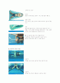 수영영법-자유형, 배영, 평영, 접영 15페이지