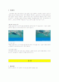 수영영법-자유형, 배영, 평영, 접영 18페이지