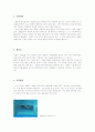 수영영법-자유형, 배영, 평영, 접영 19페이지