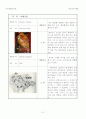 중국-주강삼각지 물류탐방기획서 15페이지