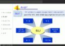 엘씨디(LCD) 비엘류(BLU)에 대한 자료 4페이지