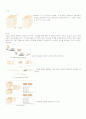 7차초등수학3,4단계 수와연산영역 교육과정및교과서분석 31페이지