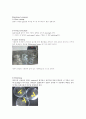 LCD TN cell 제조 실험 2페이지