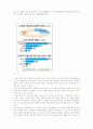 노인문제에 관하여(노인복지) 3페이지