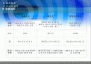 처음처럼 마케팅전략 보고서_ppt 17페이지