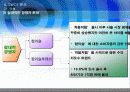 처음처럼 마케팅전략 보고서_ppt 29페이지