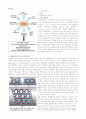 [나노입자]나노 입자 제조 및 분석 방법 23페이지