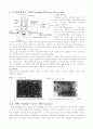 [나노입자]나노 입자 제조 및 분석 방법 28페이지