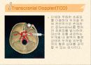 신경계특수진단검사 30페이지