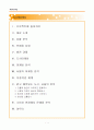 도시 마케팅(서울시-청계천, 문화...) 1페이지