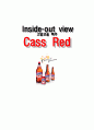 카스 레드 마케팅(Cass red) 1페이지