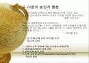 Shareholder Capitalism과 Stakeholder  Capitalism의 비교 10페이지