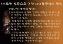 (사회문제) 지역간 불균형 발전 문제의 원인과 현황 분석 및 지역간불균형 발전의 해결책 제시 8페이지