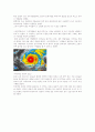2005년 이후의 열대성 저기압(허리케인),태풍 조사. 25페이지