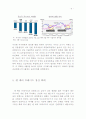 달러화의 위상약화의 원인과 그 파급효과 9페이지