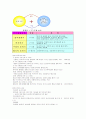 인간의 행동과 사회환경 11페이지