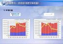 대한항공vs아시아나항공 3년간 재무분석 (05~07년) 18페이지