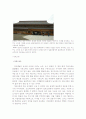 일본 건축 기행- 신사를 중심으로 6페이지