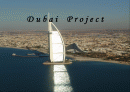 두바이 국가 정보 사업환경 및 프로젝트 설명 1페이지
