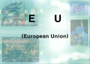 유럽연합에 대해서..발표한자료... 1페이지
