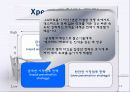 LG파워콤 엑스피드와 KT메가패스 마케팅분석 13페이지
