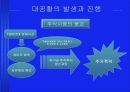 미국 경제의 역사 28페이지