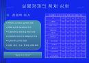 미국 경제의 역사 30페이지