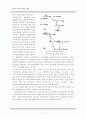 레포트_식품학(식품의방사선조사와위생) 5페이지