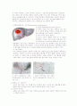 간세포암 환자 케이스 스터디 9페이지