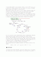 ATP(adenosine triphosphate)의 합성과정 3페이지