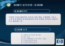 HP의 SCM과 국내 해외의 SCM도입사례 및 발전방향 33페이지