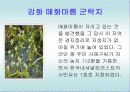 선진국의시민행정사례(영국의내셔널트러스트의시민행정) 27페이지