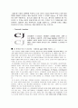 제일제당(CJ)의 광고전략 DECOMAS, CI 3페이지