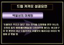 마케팅 사례 - 드림카카오 23페이지