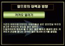 마케팅 사례 - 드림카카오 25페이지