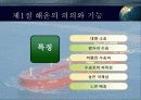 국제 해상 운송 3페이지