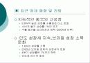 브라질의 IT산업 환경분석  6페이지