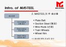 [중구기업분석] masteel(마강집단공고유한공사).ppt 10페이지