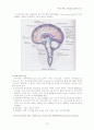 무의식환자간호와 두개내압상승환자 간호 10페이지