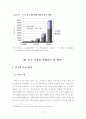 [경제학경영학]중국 경제성장에 따른 중국시장진출의 대처방안 17페이지