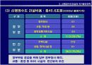 [정책] 신행정수도건설과 국가발전전략-수도이전, 신행정수도건설, 지역발전 12페이지