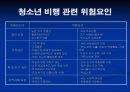 청소년 문제행동 대응 방법 연구(청소년 가출 및 약물 남용) 10페이지