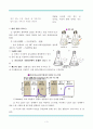 레포트_자연과학(광합성, DNA) 5페이지