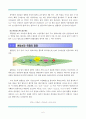 레포트_자연과학(광합성, DNA) 8페이지