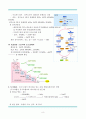 레포트_자연과학(광합성, DNA) 10페이지