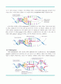 레포트_자연과학(광합성, DNA) 18페이지