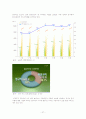 가계의 경제활동과 경제체계간의 상호작용 -김영철씨 가족을 통해서 본 가계와 시장경제- 27페이지