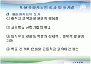고교 평준화 논의의 실재 - 찬성 의견과 대안을 중심으로 13페이지